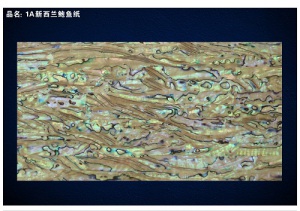 A Grade New Zealand Abalone Shell Sheet/Shell Paper